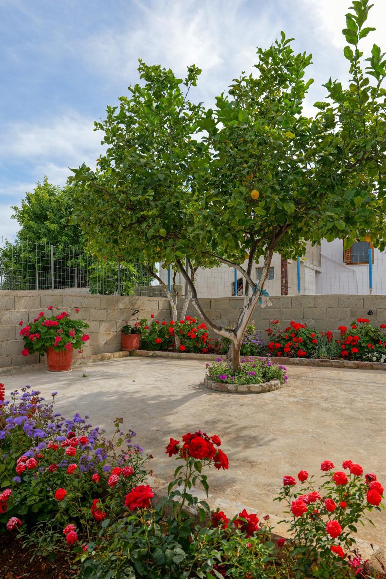 Brahimi Guest House Ksamil Esterno foto